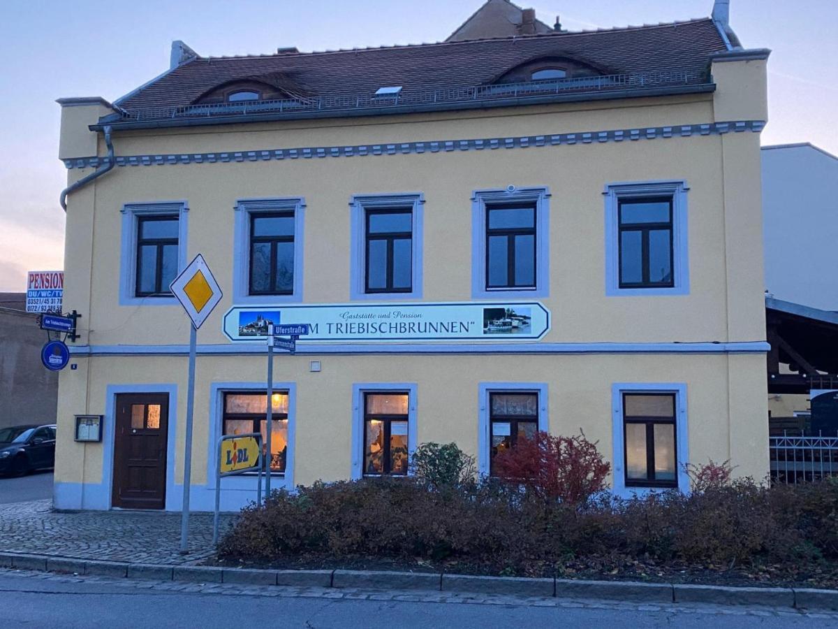 Fewo Am Triebischbrunnen Meissen Exterior photo